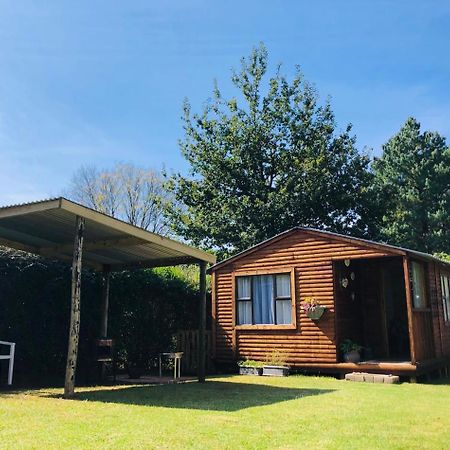 Rustic Cabin Sleepover Underberg Bagian luar foto